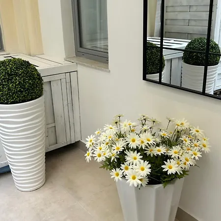 Casa Lounge Costituzione Konukevi *